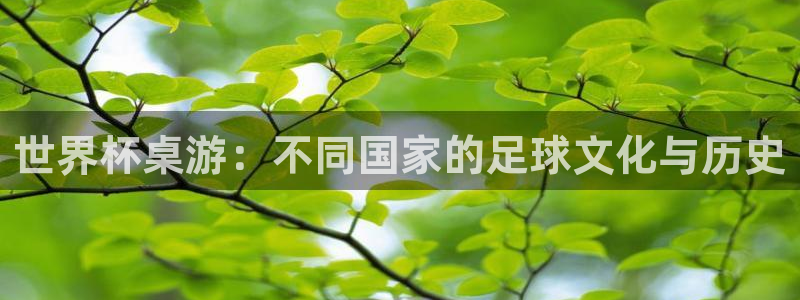 世界杯亚洲区预选赛积分榜：世界杯桌游：不同国家的足球文化与历史