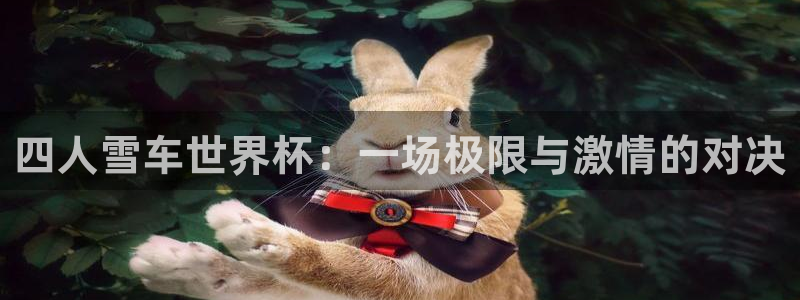 世界杯预选赛规则：四人雪车世界杯：一场极限与激情的对决
