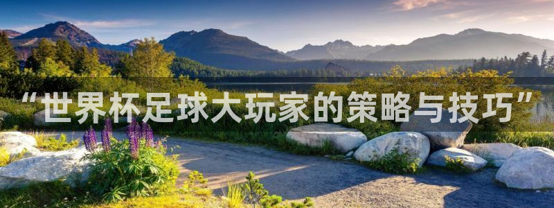 2026世界杯官网：“世界杯足球大玩家的策略与技巧”
