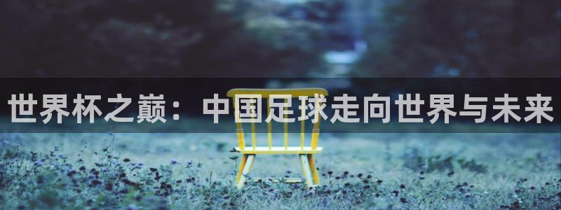世界杯预选赛欧洲：世界杯之巅：中国足球走向世界与未来