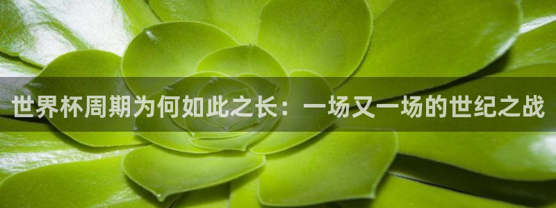 2026世界杯官网入口：世界杯周期为何如此之长：一场又一场的世纪之战