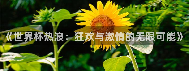 2026男足世界杯赛程：《世界杯热浪：狂欢与激情的无限可能》