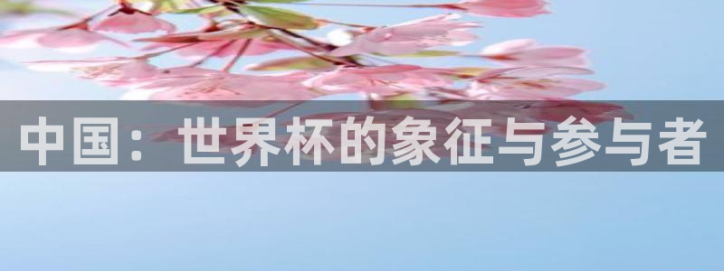 2026年世界杯赛程时间表格：中国：世界杯的象征与参与者