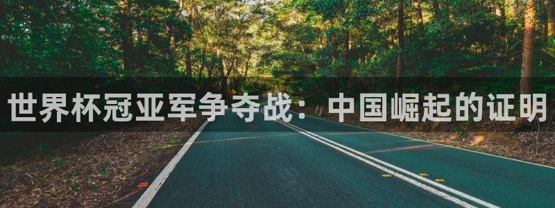 世界杯亚洲区预选赛积分榜：世界杯冠亚军争夺战：中国崛起的证明