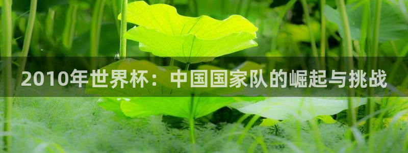 世界杯预赛赛程：2010年世界杯：中国国家队的崛起与挑战