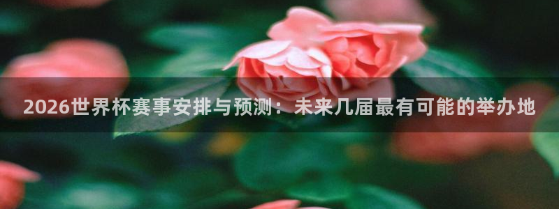 世界杯亚洲区预选赛赛程表：2026世界杯赛事安排与预测：未来几届最有可能的举办地