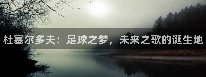 世界杯葡萄牙赛程：杜塞尔多夫：足球之梦，未来之歌的诞生地