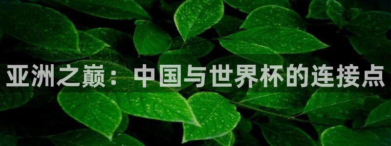 国际足联世界杯：亚洲之巅：中国与世界杯的连接点