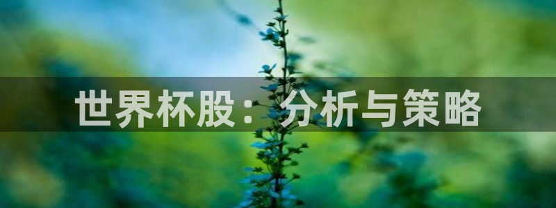 免费足球比赛直播高清：世界杯股：分析与策略