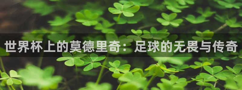 2026世界杯32强对阵图表：世界杯上的莫德里奇：足球的无畏与传奇