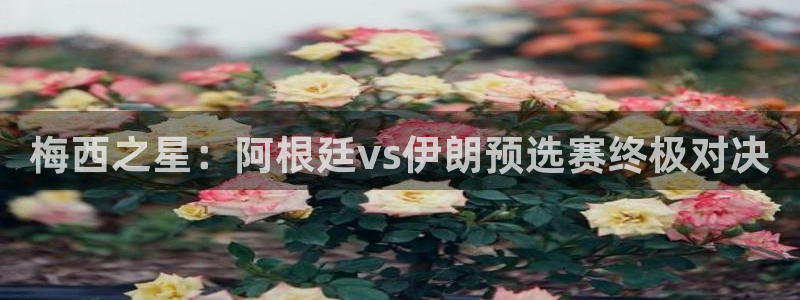法国杯2026赛程表：梅西之星：阿根廷vs伊朗预选赛终极对决