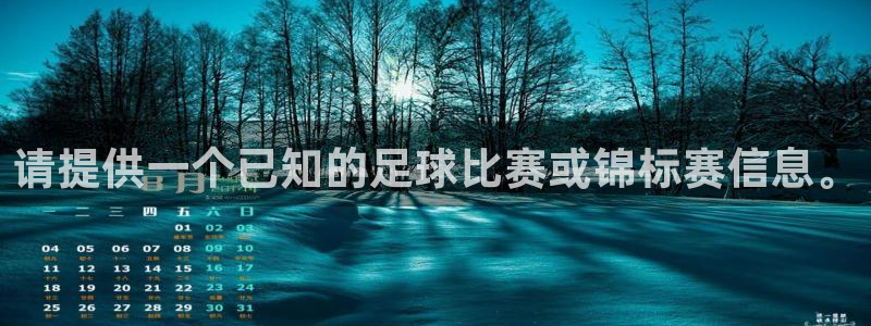 世界杯今年：请提供一个已知的足球比赛或锦标赛信息。