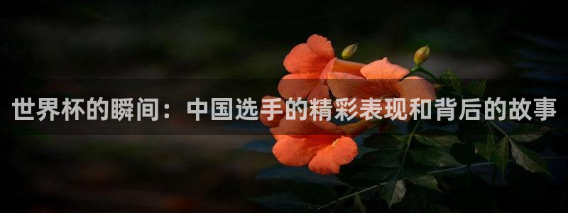 世界杯球队排名：世界杯的瞬间：中国选手的精彩表现和背后的故事