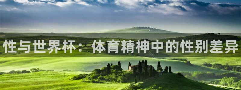 2026世界杯足球赛程时间表：性与世界杯：体育精神中的性别差异