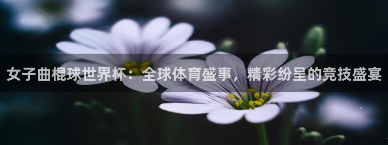 世界杯预选赛欧洲区赛程：女子曲棍球世界杯：全球体育盛事，精彩纷呈的竞技盛宴
