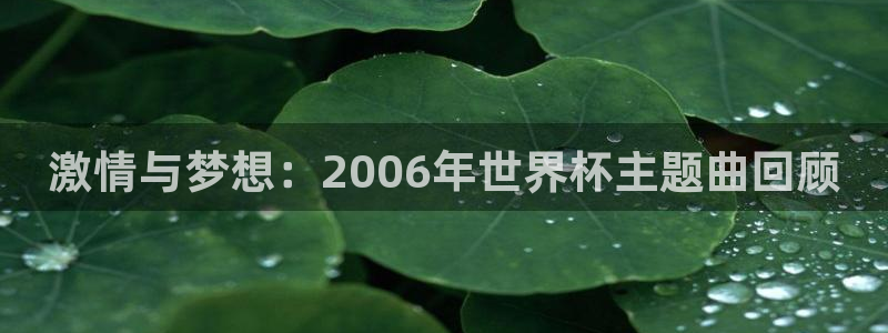 世界杯决赛预测：激情与梦想：2006年世界杯主题曲回顾